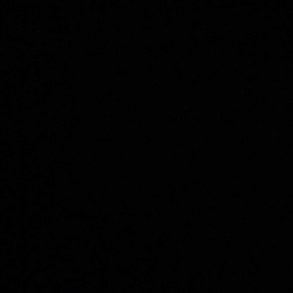 Meet your Posher, Sadie